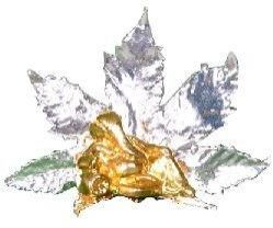 Natures Silver Gold Plated Products