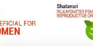 Shatavari Capsules