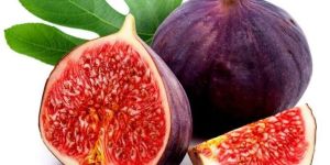 Fresh Figs