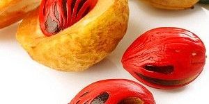 Nutmeg