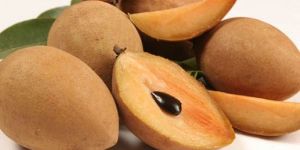 Fresh Sapota Fruit