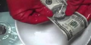 anti-breeze notes black and green dollar