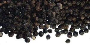 Black Pepper
