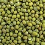 Green Mung
