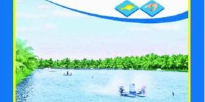 Bacilite Powder Feed Supplement