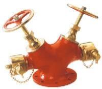 Double Outlet Landing Valves