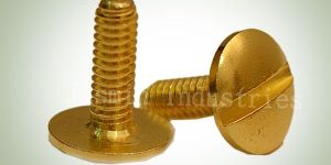 Brass Screw