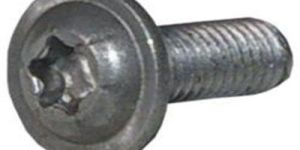 Torx Screw