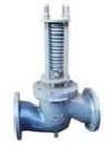 Angle Type Safety Valve