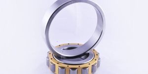 Cylindrical Roller Bearing