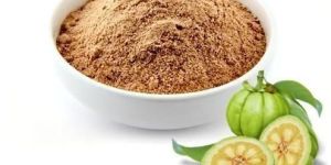 Garcinia Cambogia Extract Powder