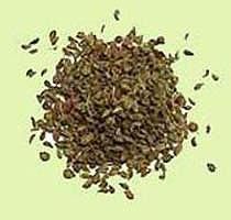 Ajwain Oil