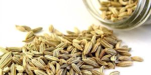 Fennel Seed Oil