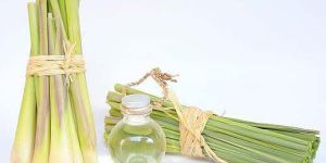 Lemon Grass Oil