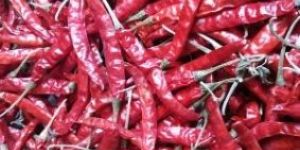 Dry Red Chillies