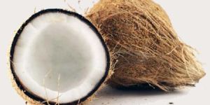 Coconut