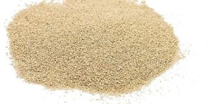 Molasses Dried Yeast