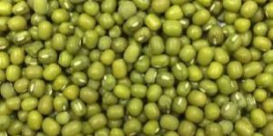 Green Moong