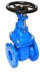 Resilient Seated Gate Valve
