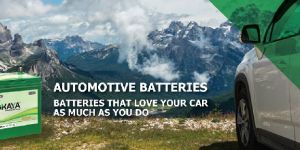 Automotive Battery