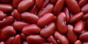 Rajma (Red Kidney Beans)