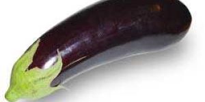 Eggplant
