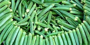 Okra