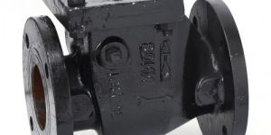 Cast Iron Reflux Valve