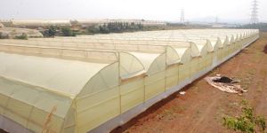 Naturally Ventilated Greenhouse