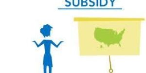 Subsidy Consulting Services
