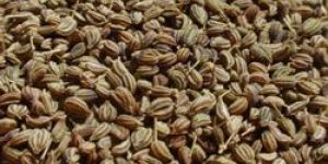 Ajwain Seed