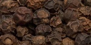 Black Pepper
