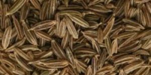 Cumin Seeds
