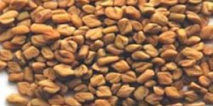 Fenugreek Seeds