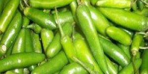 Green Chilli