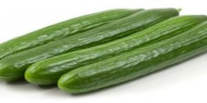 Organic Seedless Cucumber