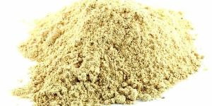 Amla Powder