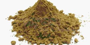 Coriander Leaves Powder