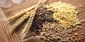 Grains