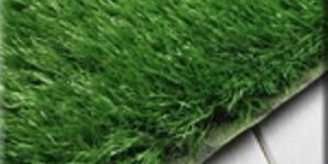 Artificial Grass