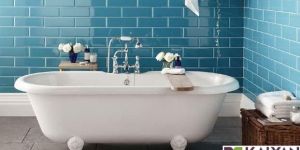 Sanitary Ware Toilet