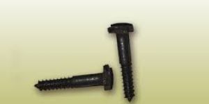 Coach Screw