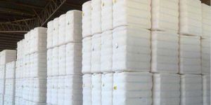 Raw Cotton Bales