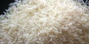 Samba Mansoori Raw Rice