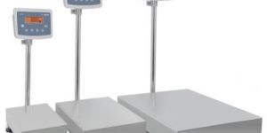 Industrial Platform Scale