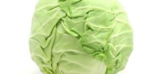 Cabbage