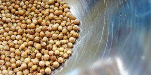 Coriander Seeds