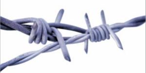 Barbed Wire
