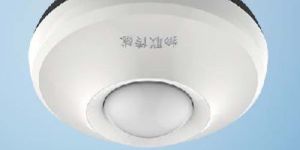 Wireless Motion Detector