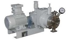 Double Diaphragm Metering Pump